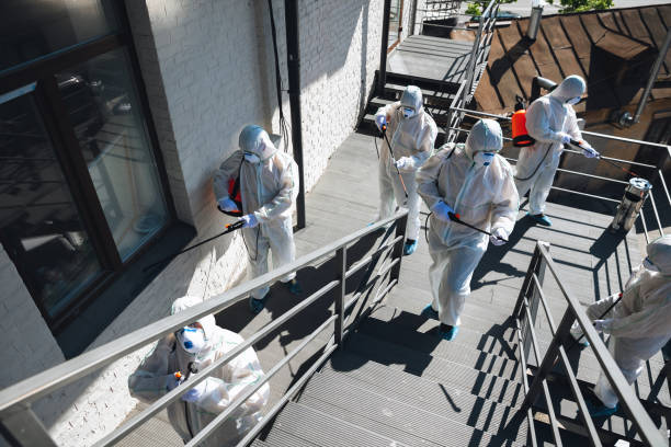 Best Industrial Mold Remediation  in Jackson, MI