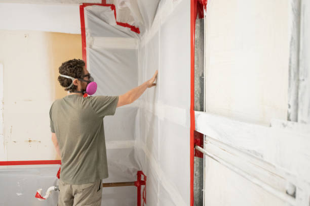 Reliable Jackson, MI Mold Removal Solutions