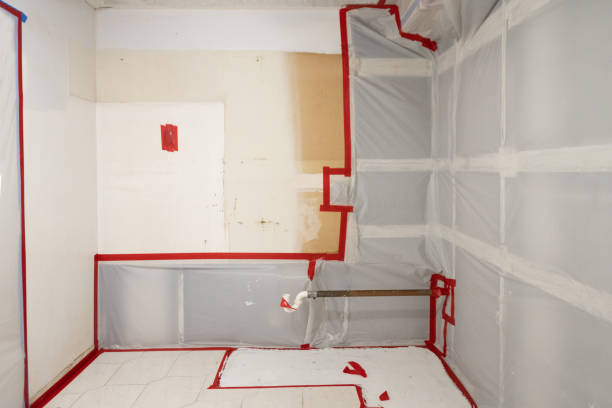 Best Indoor Air Quality Assessment  in Jackson, MI
