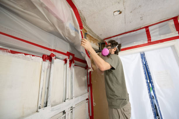 Best Dehumidification Services  in Jackson, MI