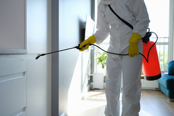 Best Comprehensive Air Testing for Mold Contaminants  in Jackson, MI
