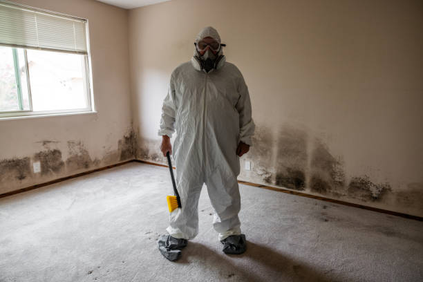Best Airborne Mold Testing  in Jackson, MI